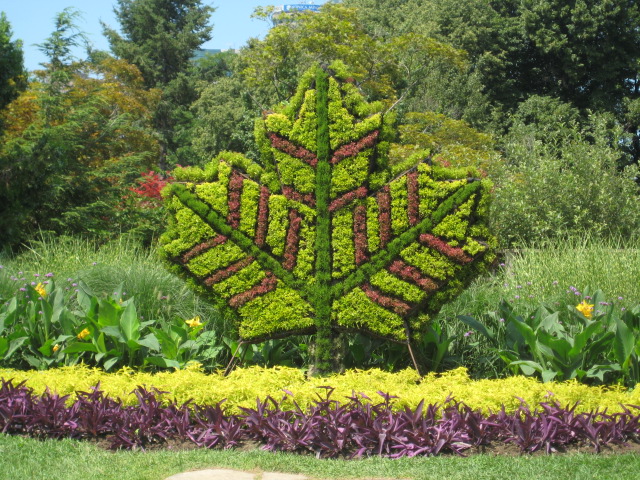 O simbolo da bandeira Canadiana
