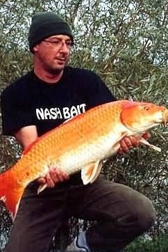 Este peixe vermelho é o maior que eu vi!!!