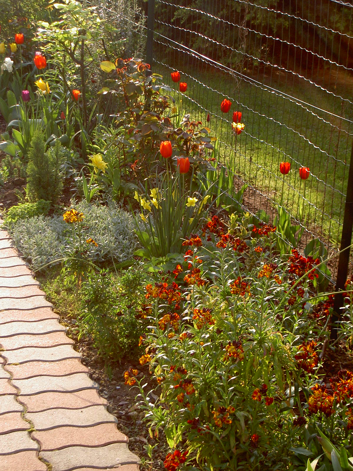 Um pouco de flores para Portugal!