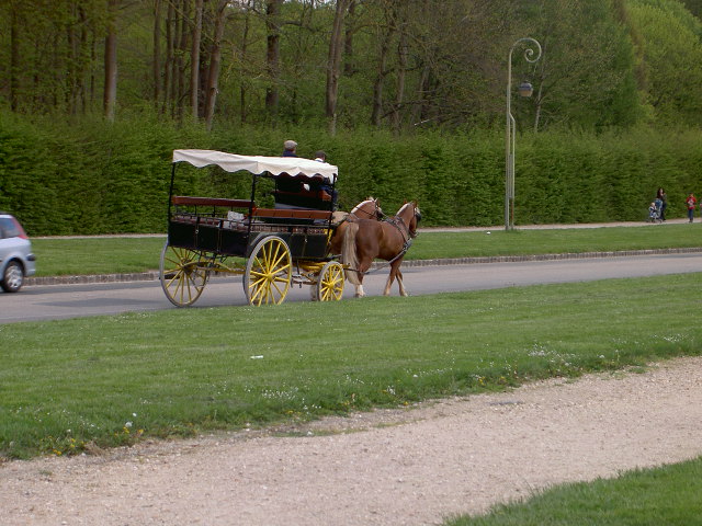 A carro a cavalos a passear gente em fontainebleau!