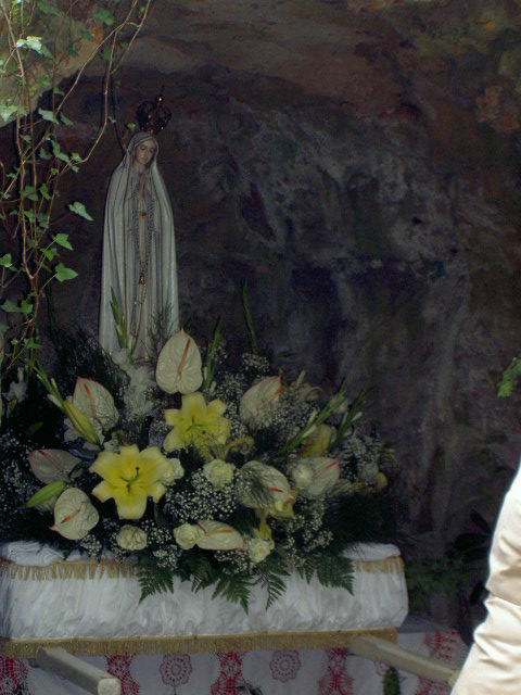 Là estava ela, cheia de flores !