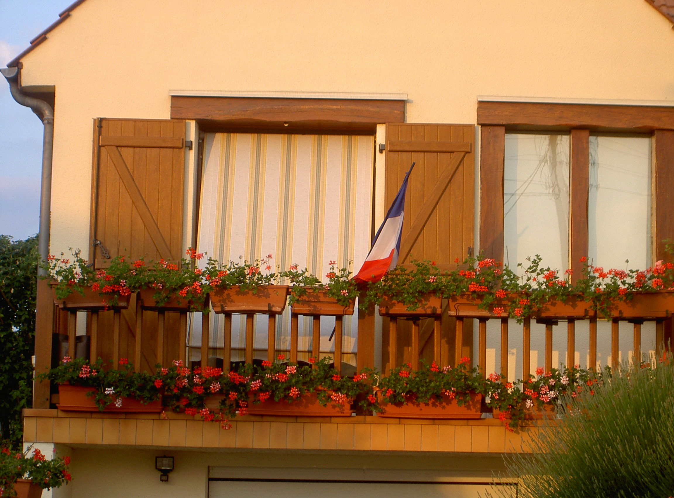 Mas este vizinho estava fechado dentre de casa para ver o jogo FRANCE-SUISSE, que ficou 0-0, hoje esteve um…