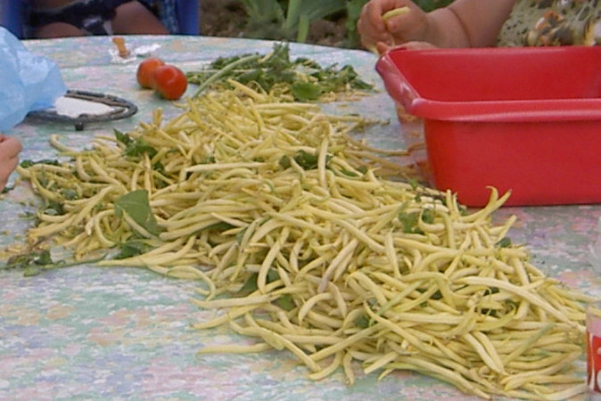 Sao tao bons, nem precisao de azeite!