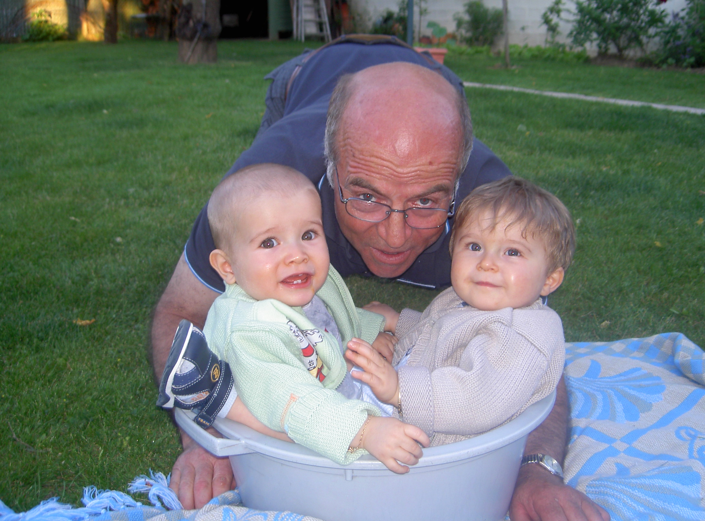 Olhem que lindos !