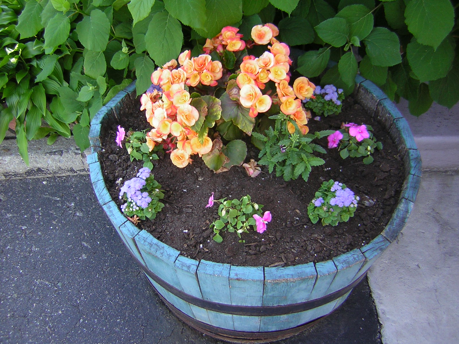 o barril tambem da para por flores e nao so para vinho