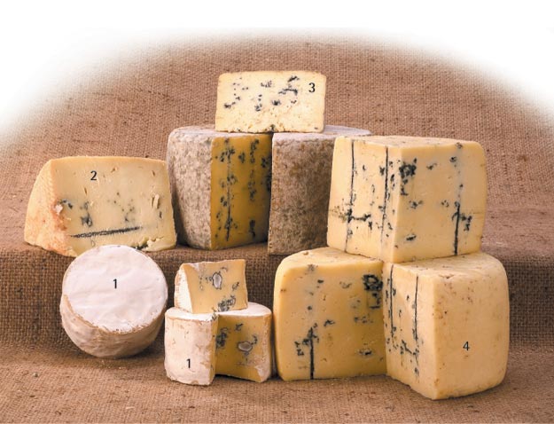 Isso chama-se " queijo azul ", bleu d'auvergne, roquefort, etc...