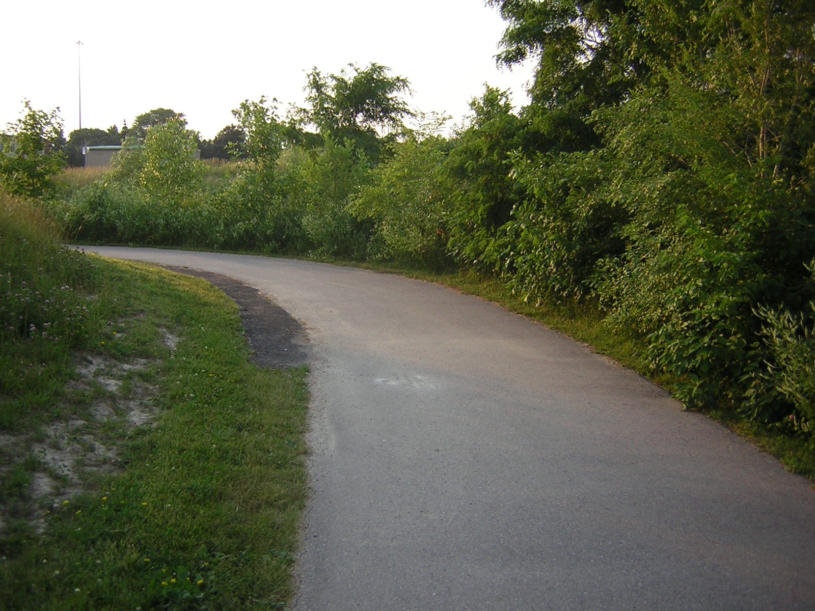 esta estrada dentro do parque é para as peçoas poder andar de viçicleta