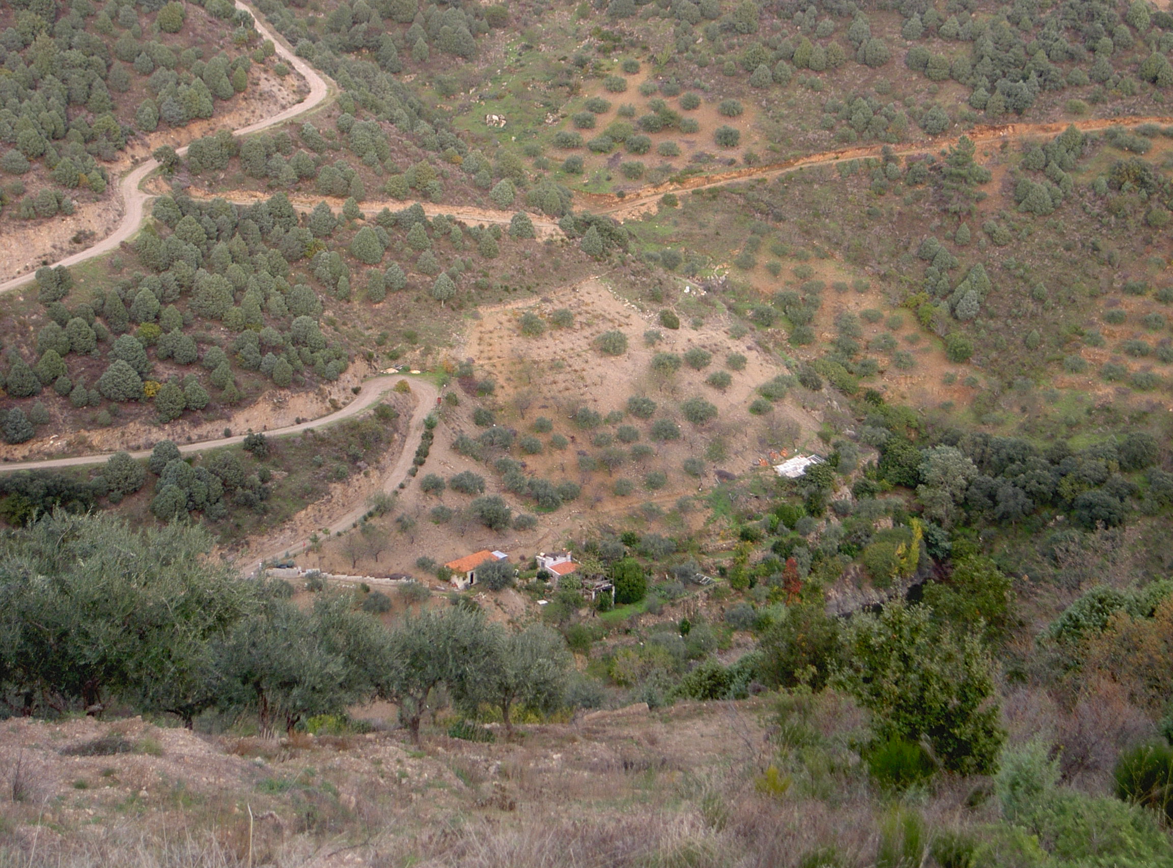 forcaleiro capital das arrivas