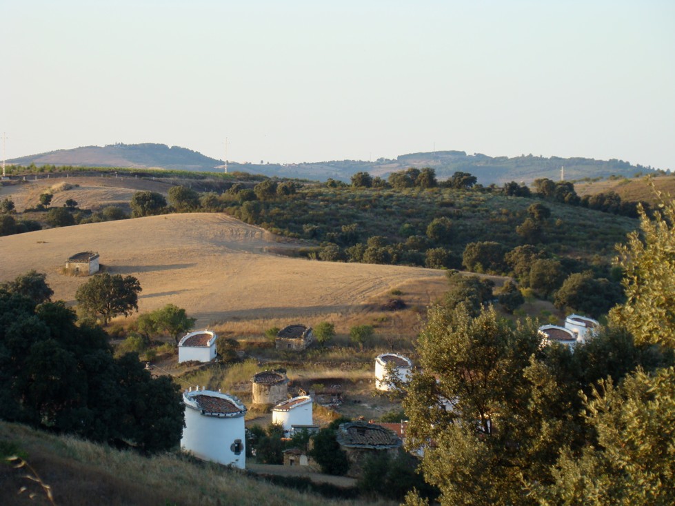 I l'albura de ls palumbares debulbie-me ls raios de luç que l sol teimaba an ancartar...