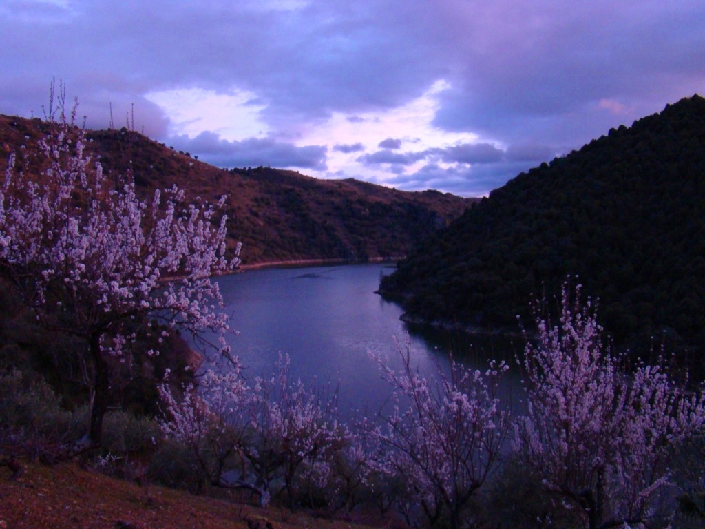 Al querer caier la nuite cheguei a casa i, de facada, fui-me até al Carreiron de las Arribas. L cumpremido de…