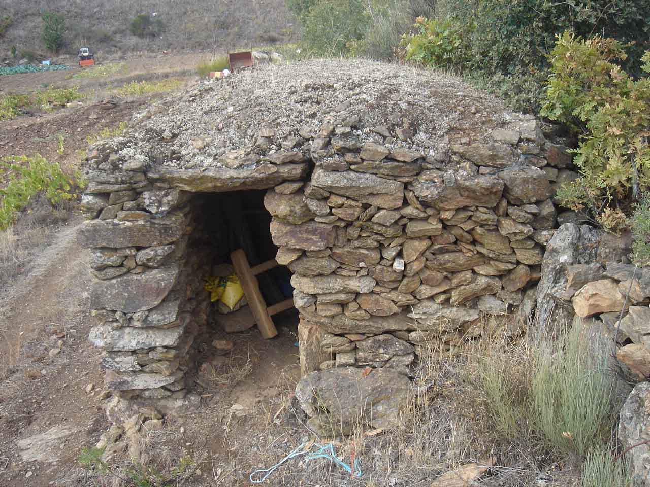 Foto Neo. L casulho bien arrecolhie l spantalho, mas el ye maluco i nun le dá la gana de deixar las berças…