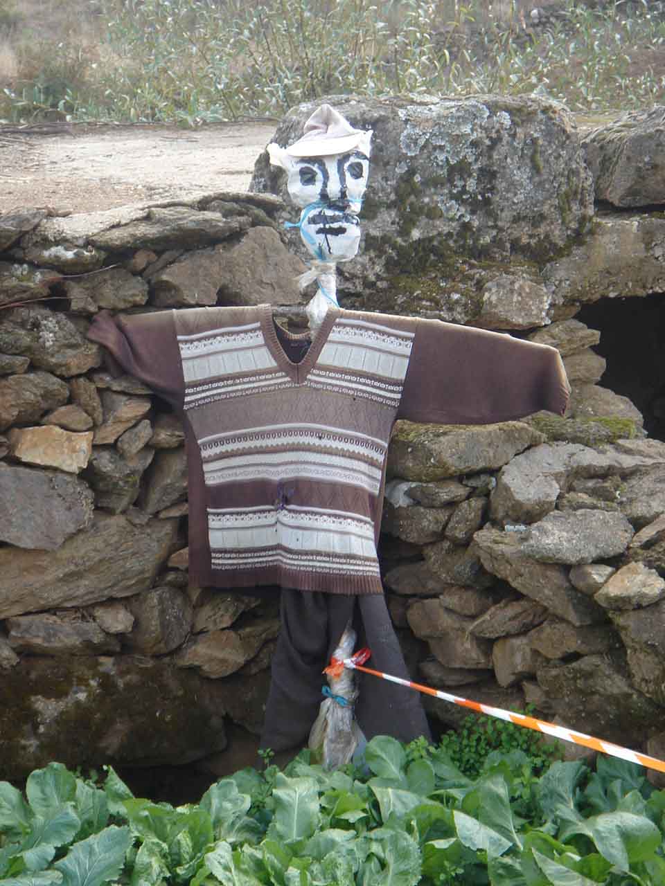 Foto Neo. L spantalho an beç d’ir pa l casulho arranjou ua camisola.