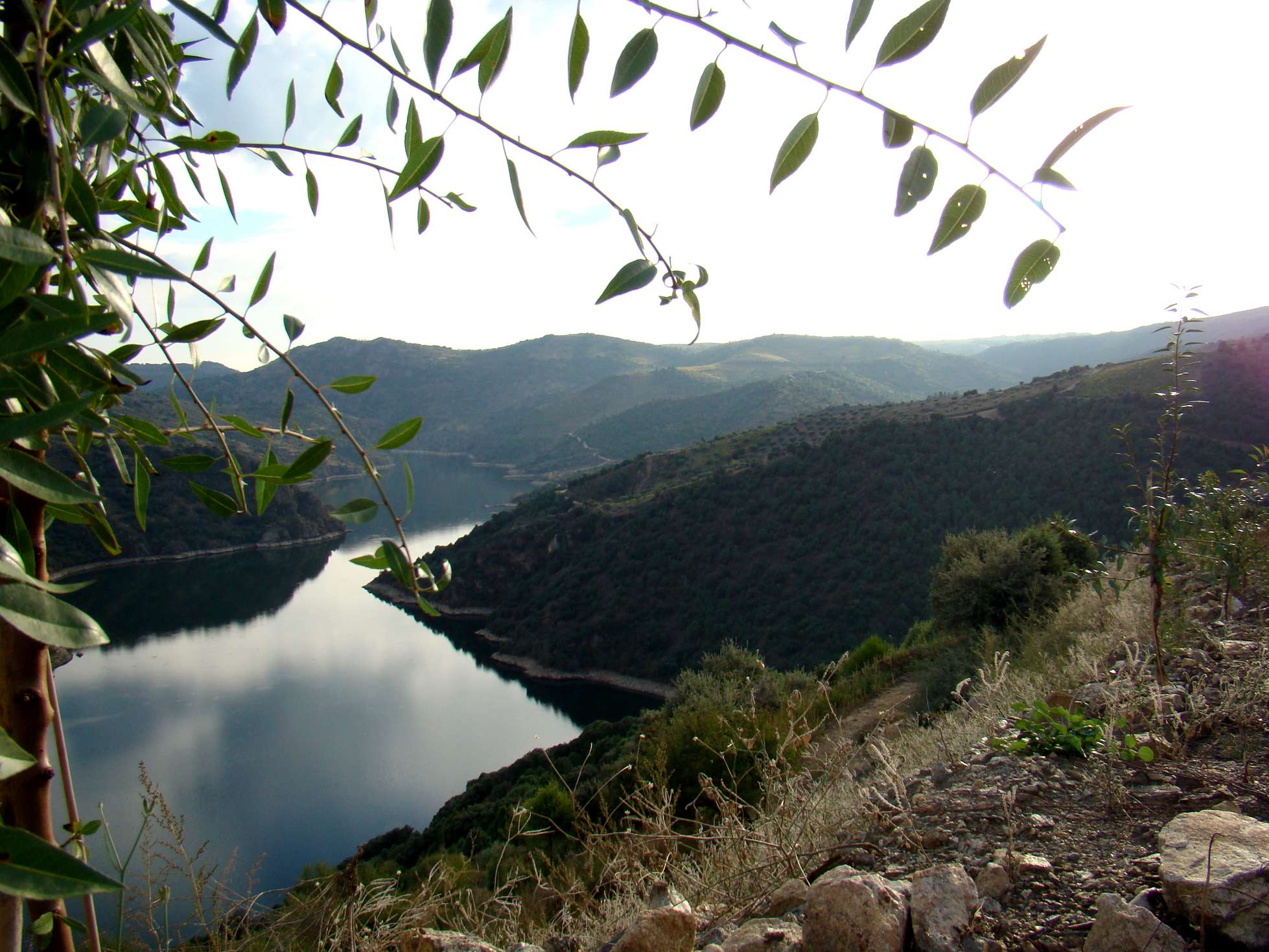 Cumo an fin de tarde de Demingo de Outubre, stában las augas de l Ancho de Forcaleiro serenas...