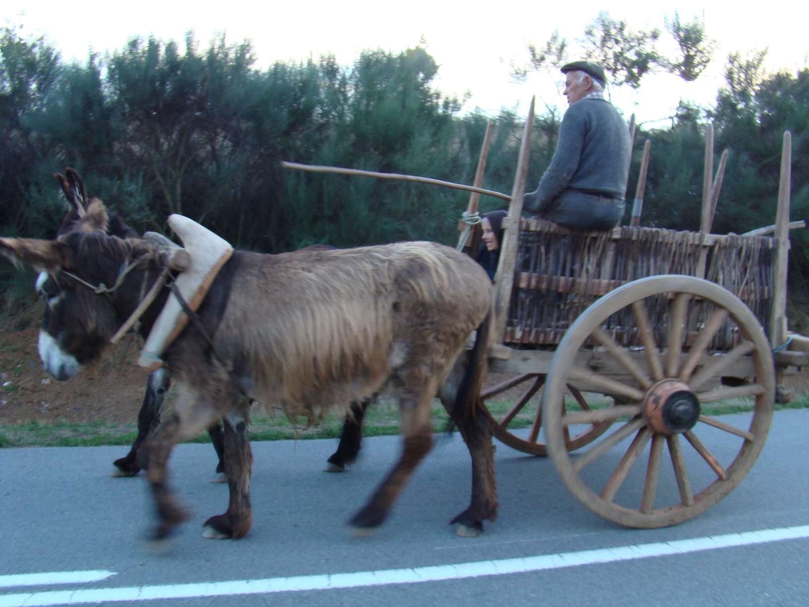 Desta beç fui an San Martino que bi este carro tan pimpon...
