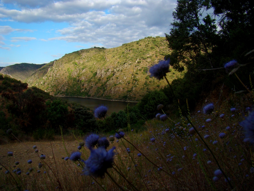 Carapotas azules acontra l riu de Forcaleiro!