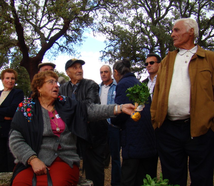 La Trindade 2: Alforraque 1