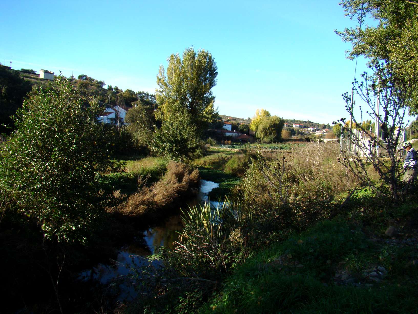 La faceira de Samartino deixa passar la ribeira anquanto aspera que ls burmielhos amadúren...