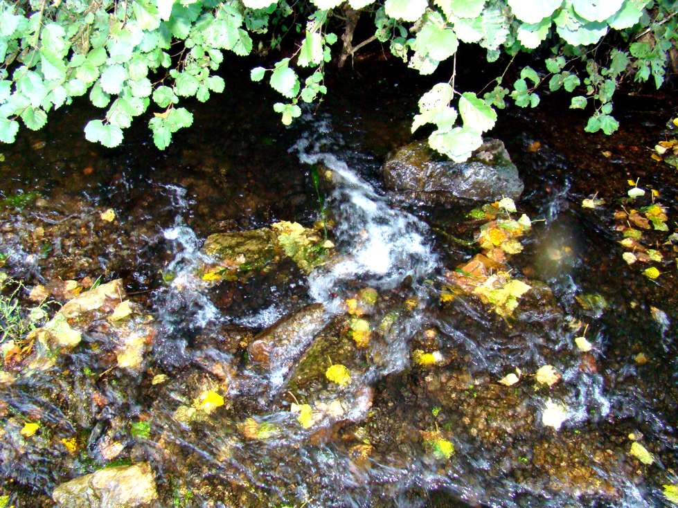 Passou l berano i la ribeira nun parou de correr. Astanho ls Samartineiros si puoden dezir que l manadeiro…