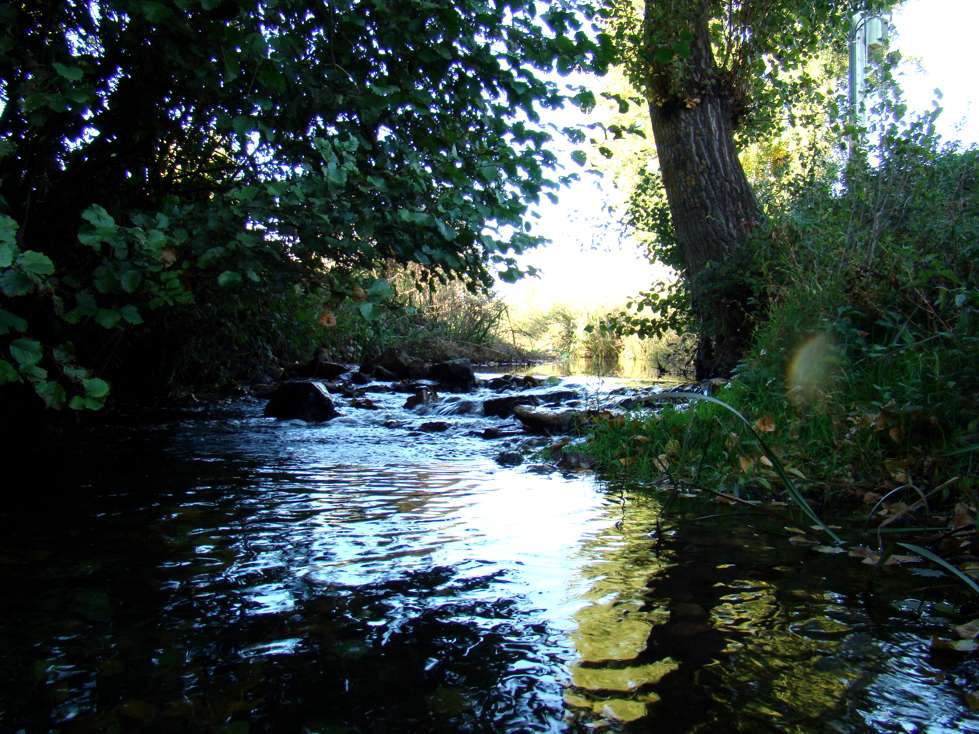 Agora yá naide bai a saber de la selombra i de l frescor de la ribeira...