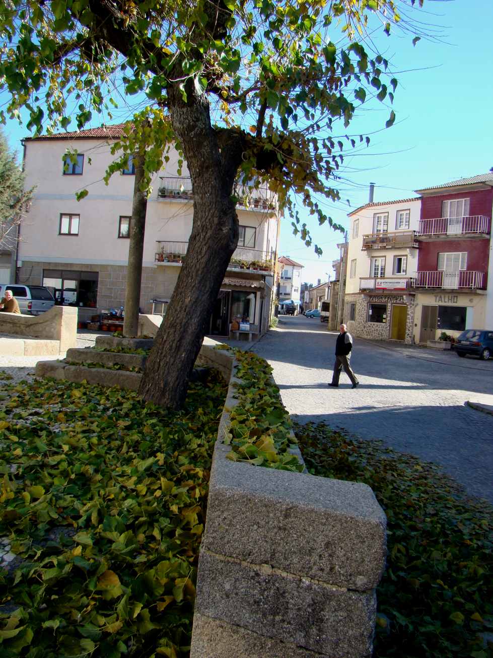 Hoije la gilada fui mui fuorte. Mirai la moreira de l cruzeiro de la Praça! Las fuolhas que tenie stában la…