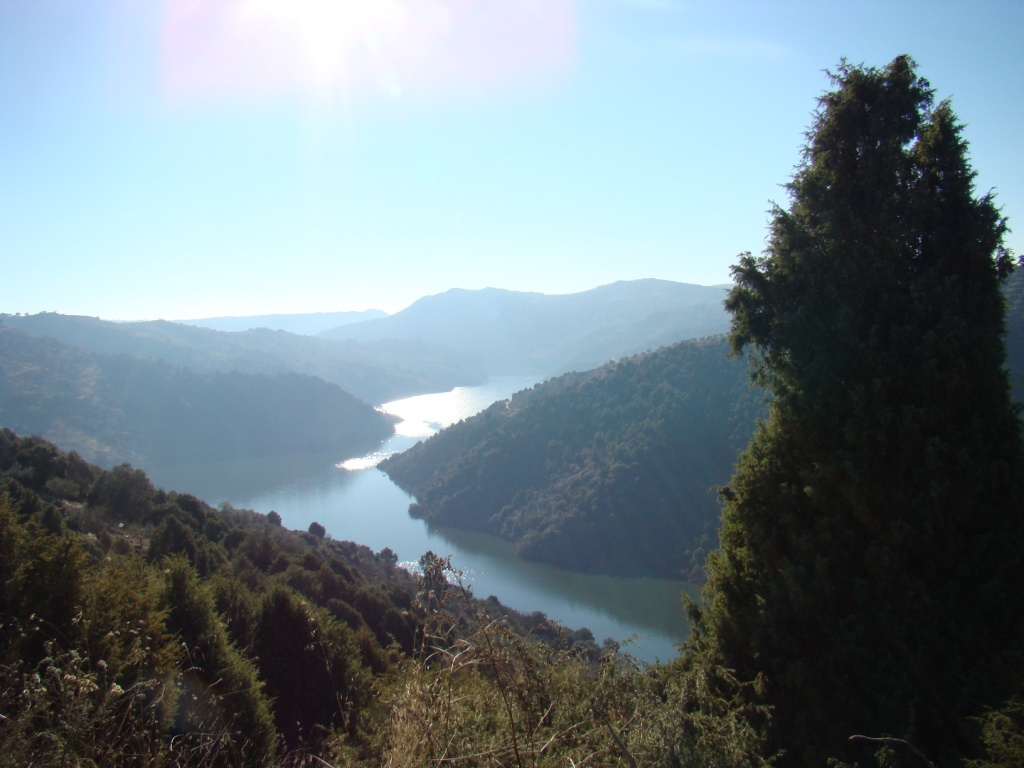 Apuis cheguemos al mágico Forcaleiro: ye alhá que tengo las oulibeiras i ye d'alhá que se bei la batailha de…