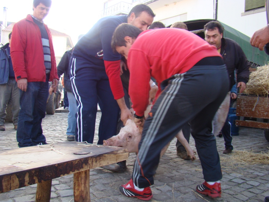 La cousa ampeçaba a quedar negra pa l lado de l cochino...