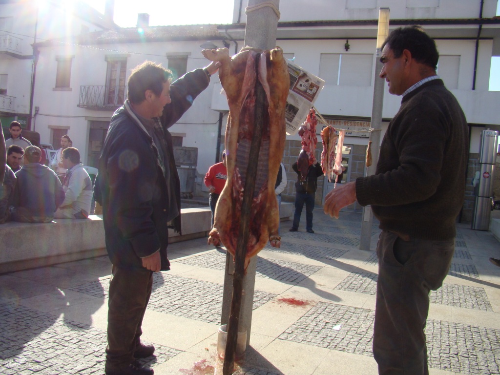 L cebado fui puosto a scorrir, mas nien sequiera le íban a dar tiempo para ancalhar...