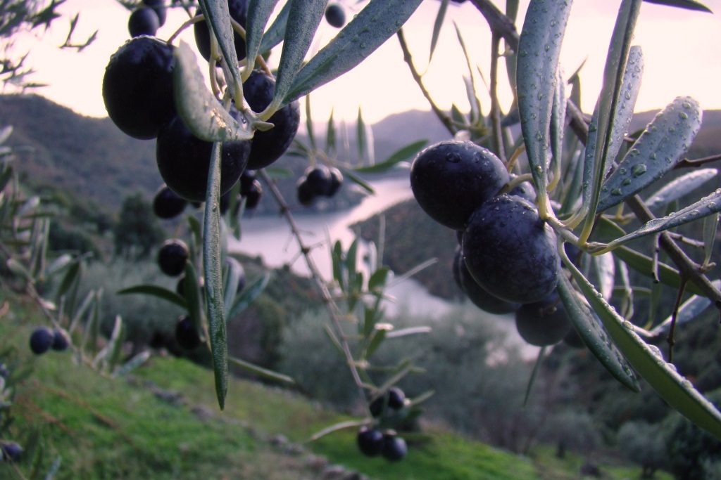Bariaçones subre Forcaleiro 3
