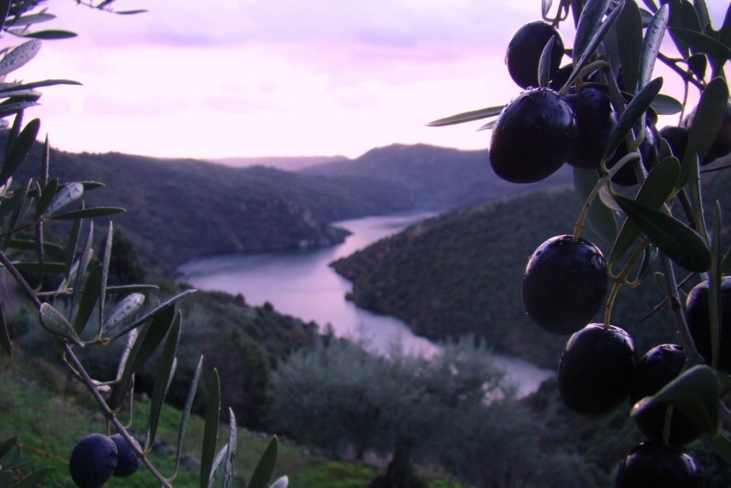 Bariaçones subre Forcaleiro 4
