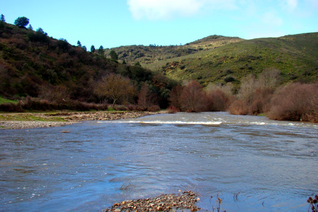 La Ribeira de Teixeira na zambucadura de la Ribeira de Turtulhas...