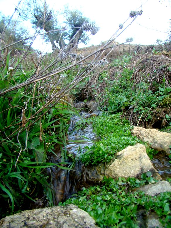 Este rieirico, queda na canal de Ritaltrebo. Se apurardes bien l oubido sentis correr la sue auga de risa...