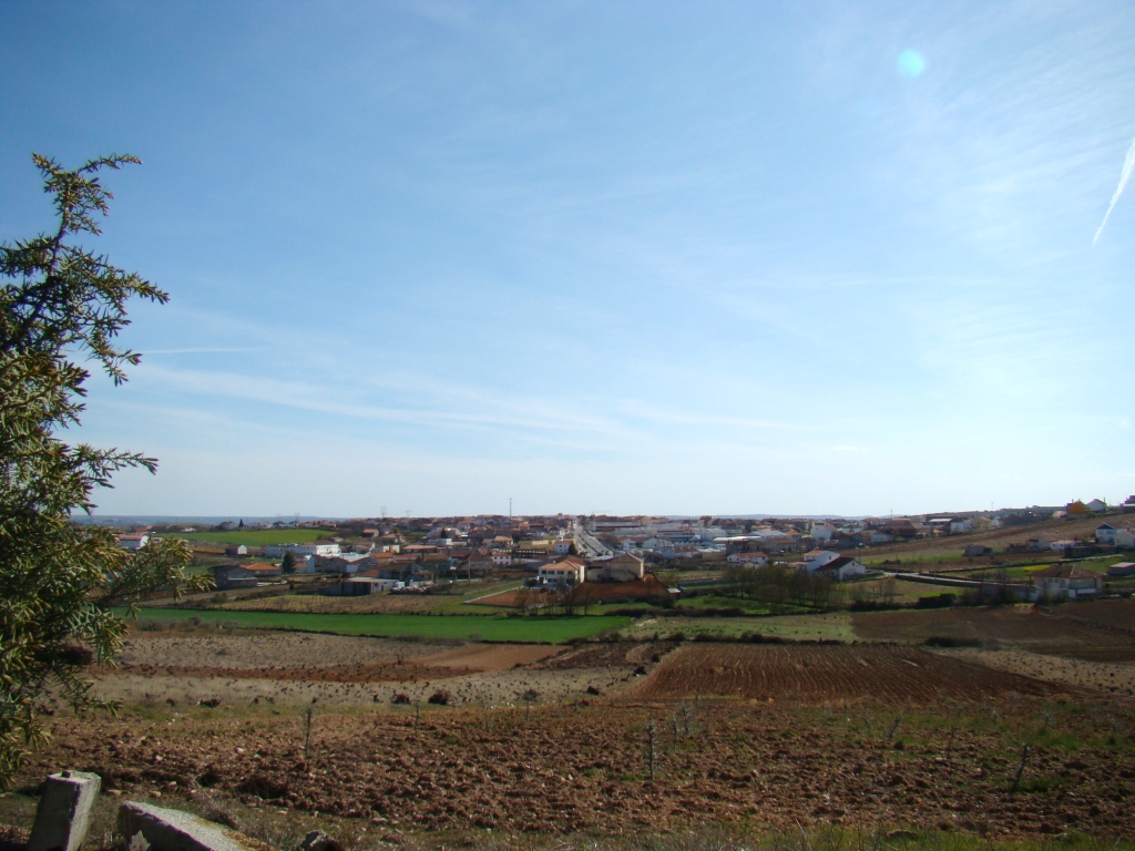 Hoije fui a scabar la yerba dua binha, de pulberizador claro, que tengo ne l cabeço de l Prado, mesmo an pie…