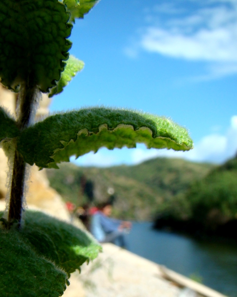 I apuis de to la giente se haber ido ambora, l pie d'hourtela que naciu a mirar l riu, cuntinou a mirar l…