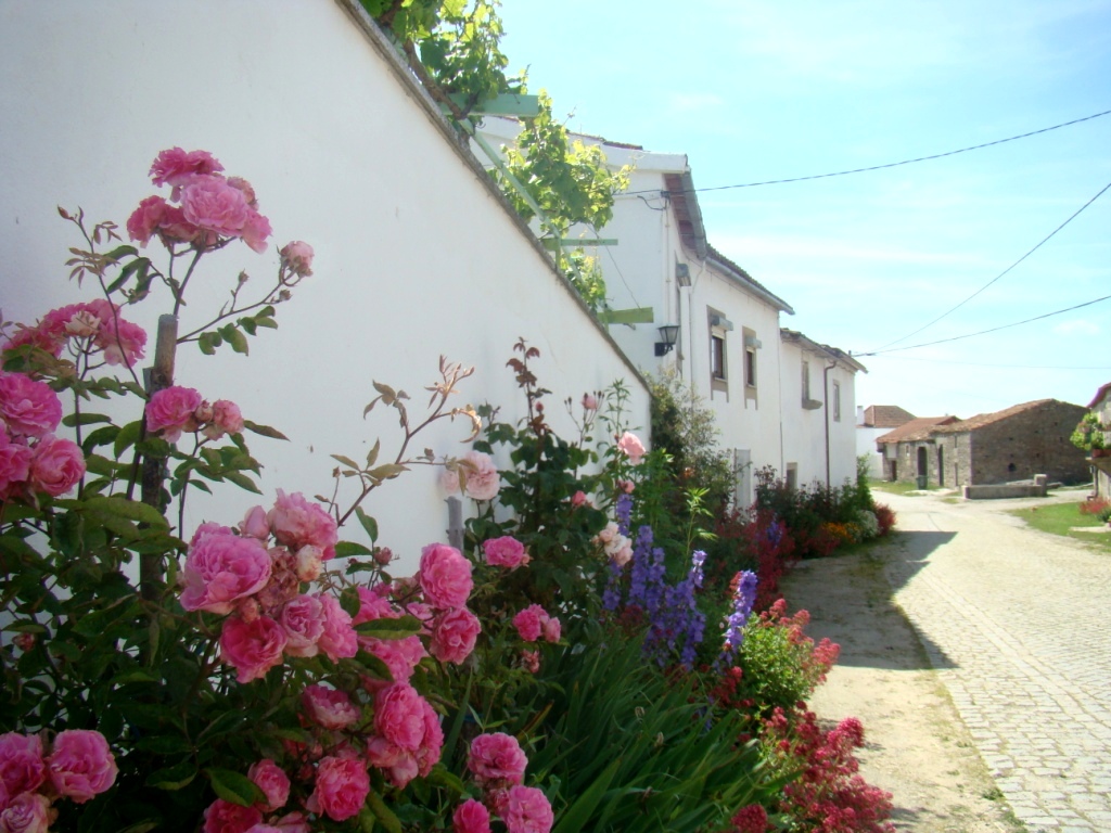An Aldinuoba las rues parécen un berdadeiro jardin...