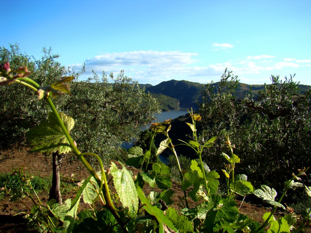L sol agora faç rodar las quelores i pon l berdes a gulsear acontra l azul de riu.