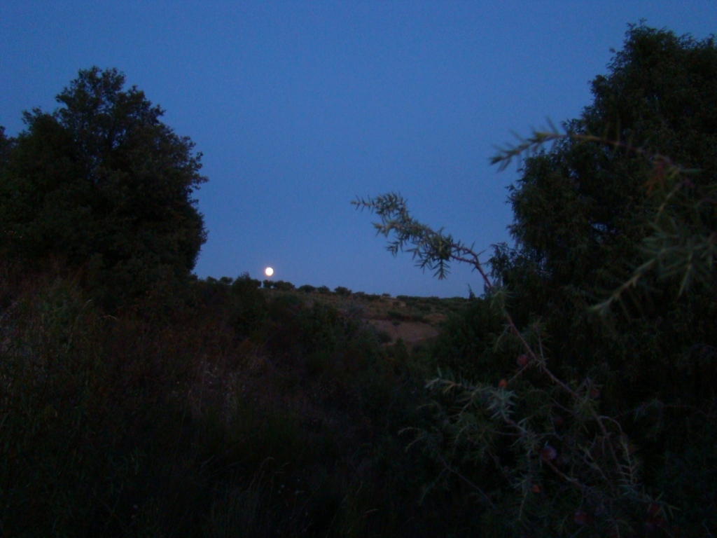 Yá mais dua beç que Pedro 2Giga me perguntou porque tiro tantos retratos de l sol i tan poucos de la luna. La…