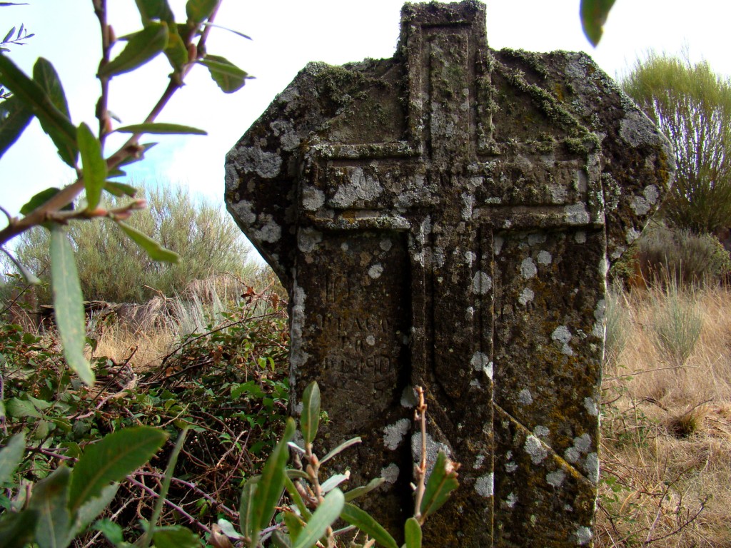 Ten muitos scritos, mas las patrielhas nun déixan çtinguir nada! Diç l antigo arqueologo de Miranda que son…