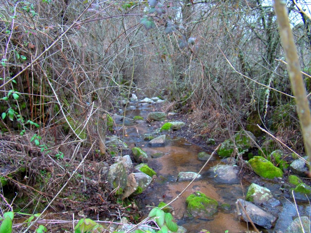 Bitória de las ribeiras a correr, subre las ribeiras secas...