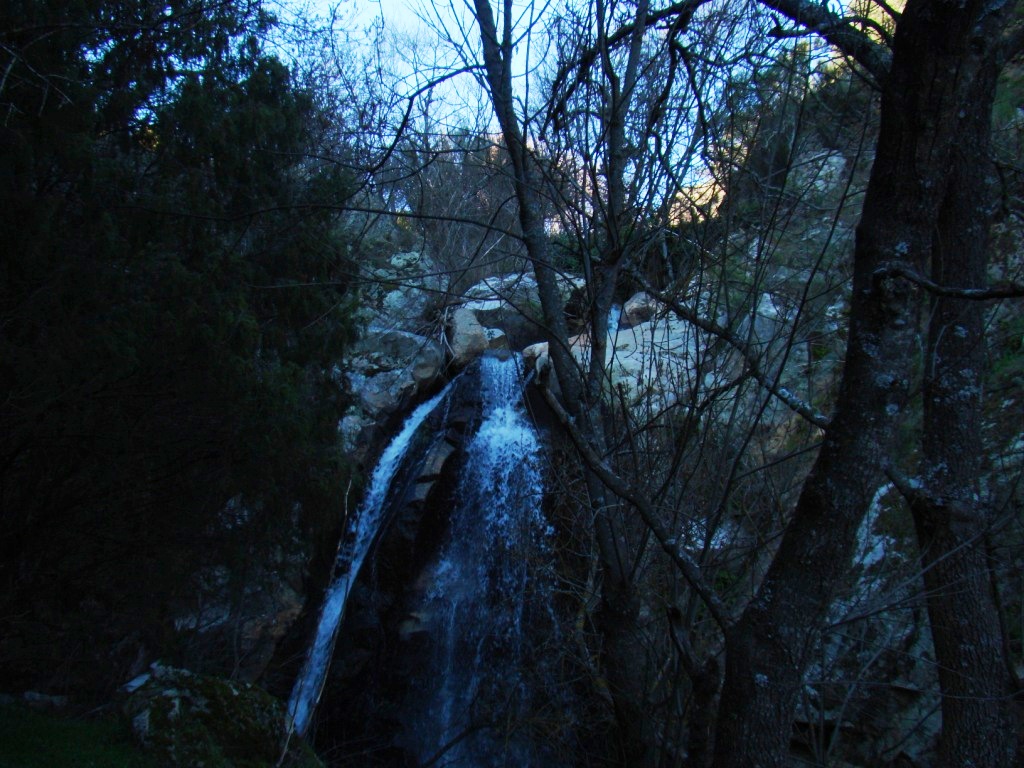 Ls freznos alhi dan-se bien...