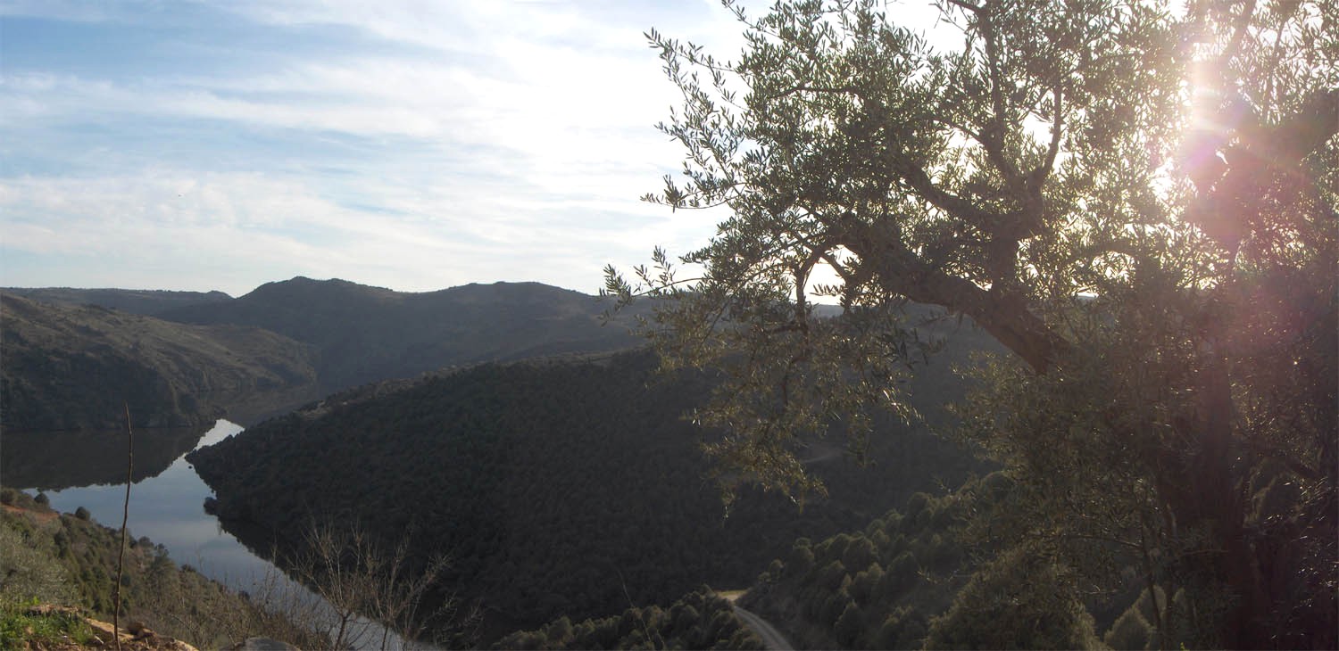 Las selombras de las arribas médran po riba de l riu.