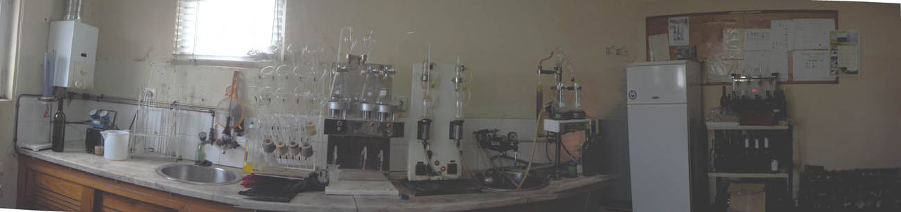 Apuis fui a fazer las análeses de l bino al laboratório de la Dega. Bamos a ber cumo quedou la gaçpoia…
