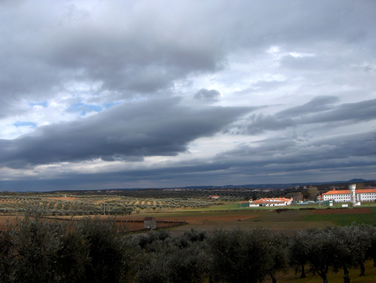 Oulibeiras d'Eizeda... a la suolta!