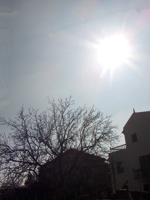 Hoije l sol albantou-se cun gana de fazer abrolhar l mundo.