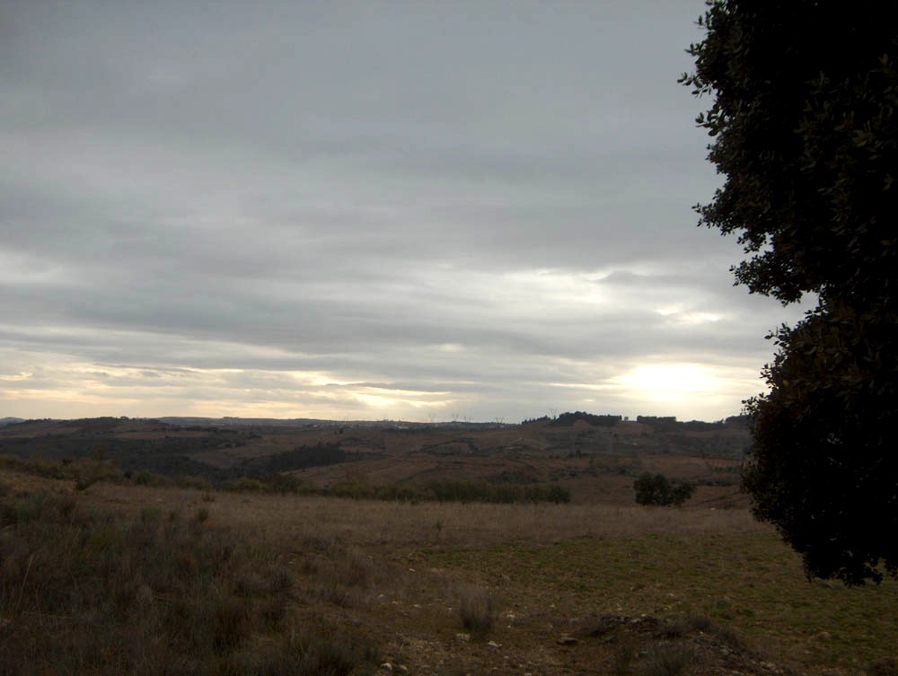 I apuis anquanto l sol ancartaba ls sous últimos raios acontra Ruolos, you carguei ls rachones i bin para…