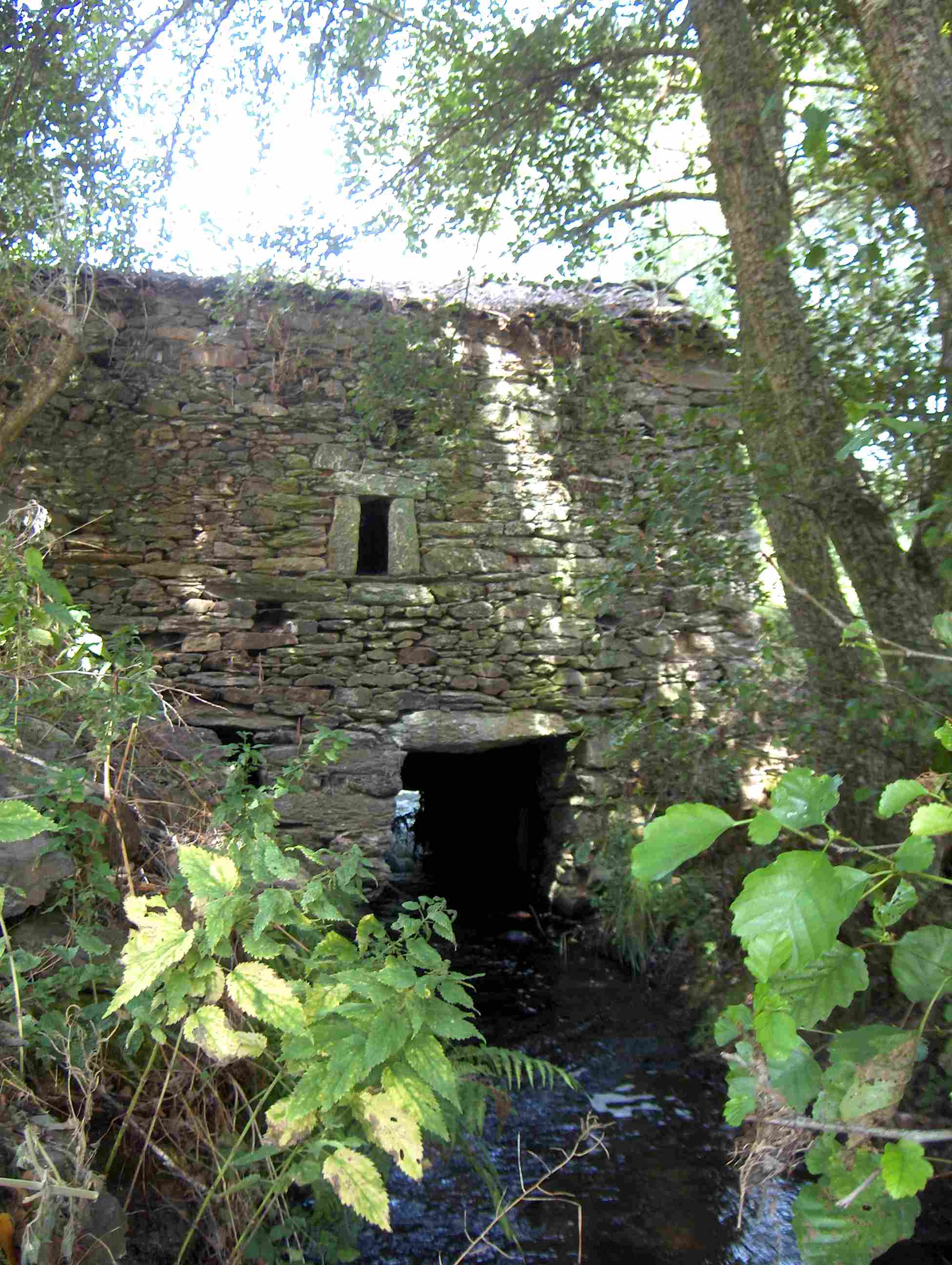 apuis lebórun-mos a ber l molino de La Senhora...