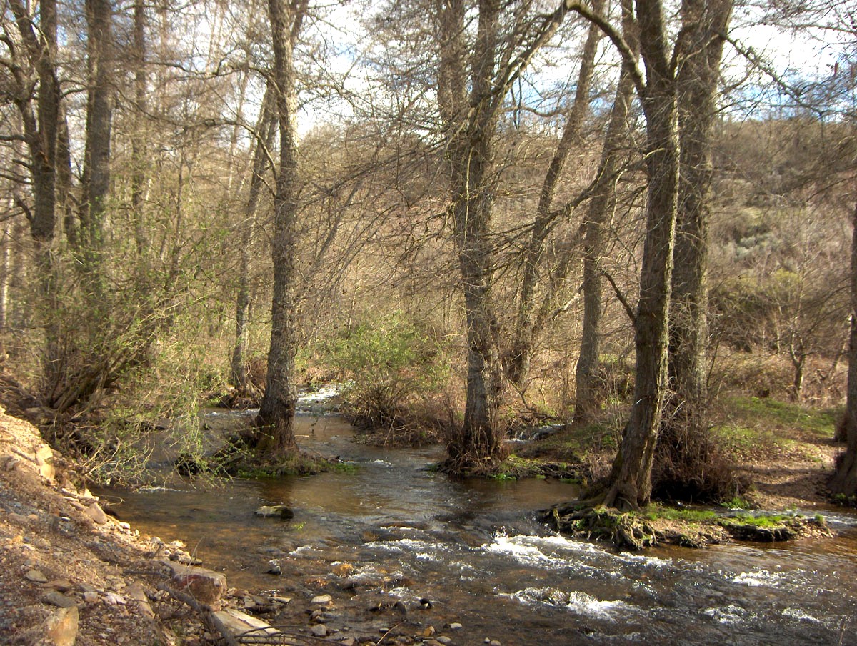 Onte fui-me até Angueira i la ribeira cuntina guapa cumo siempre.