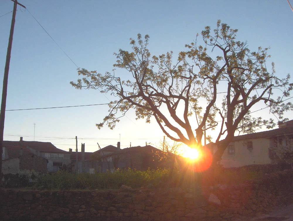 Onte a la tarde l sol çponie-se an Ruolos...