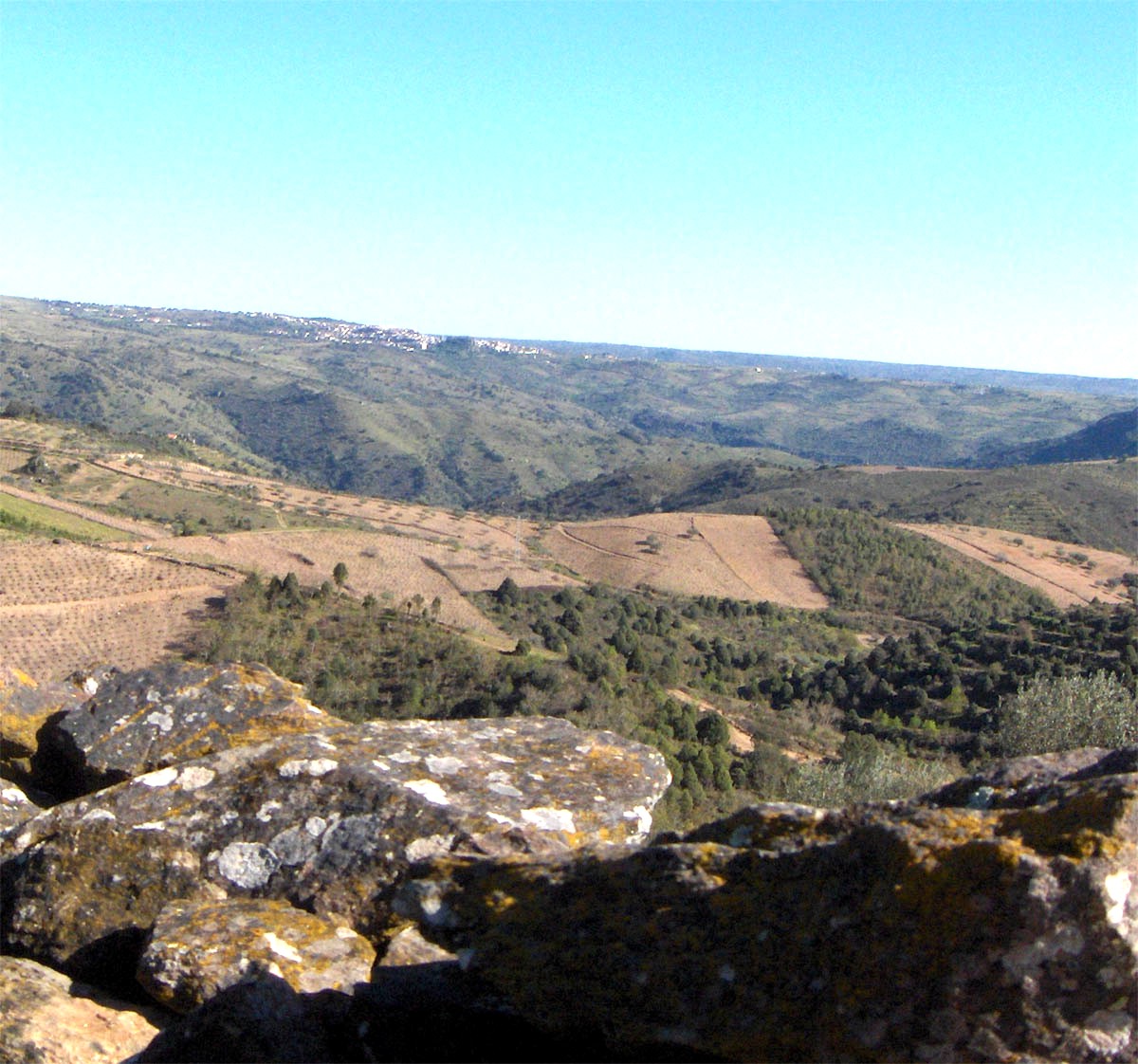 Assomei-me a la baranda i las quelores de las patrielhas, atirou-se-me a la bista. Binhas, oulibeiras, adiles…