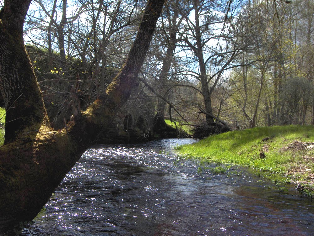 La Ribeira d’Angueira cuorre i la bida al redor çperta, mas l bielho molino drume.