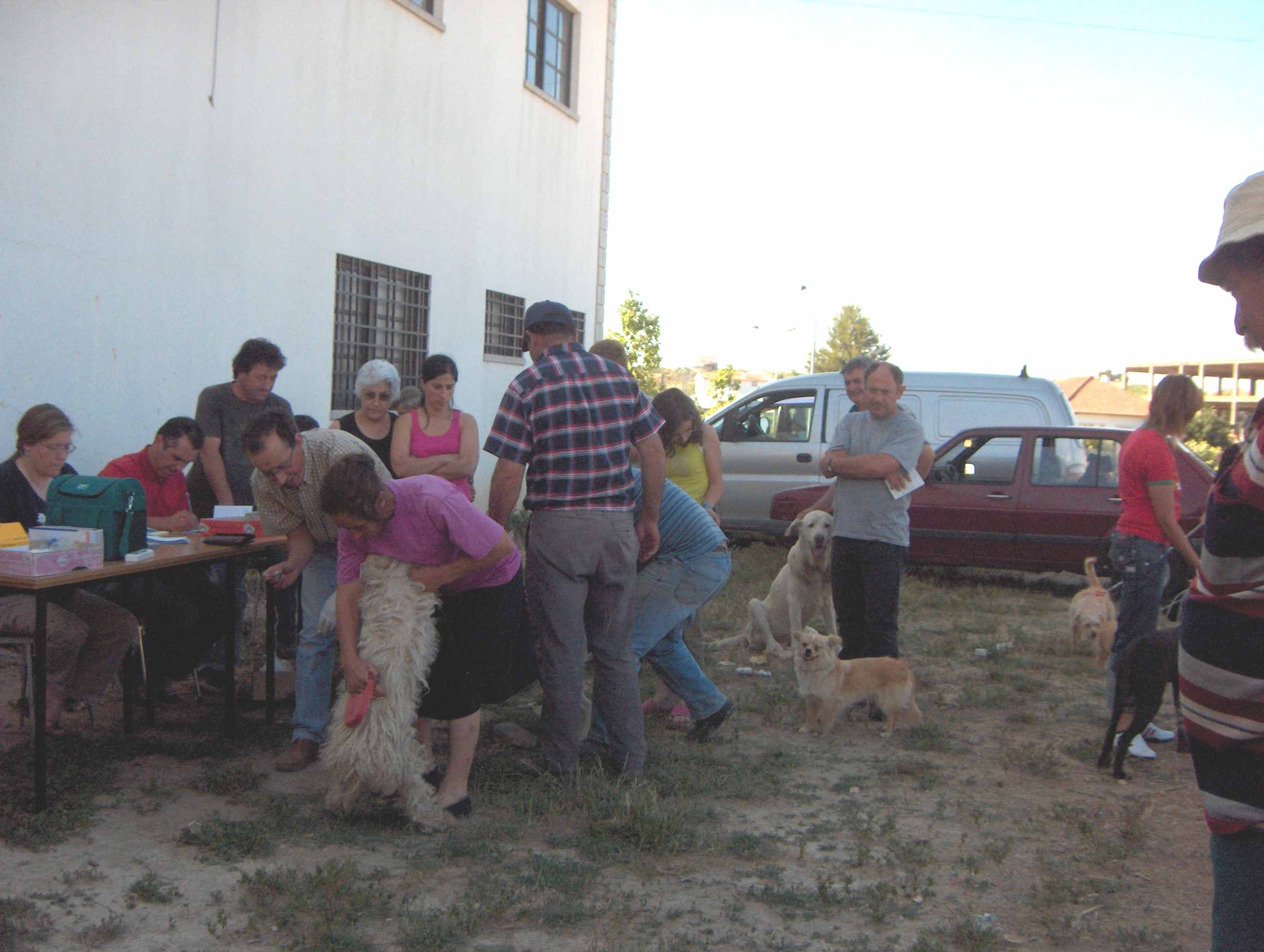 Onte fui die de bacinar ls perros an Sendin.
